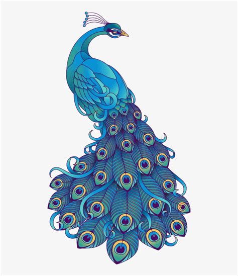 peacock vector|peacock clip art images free.